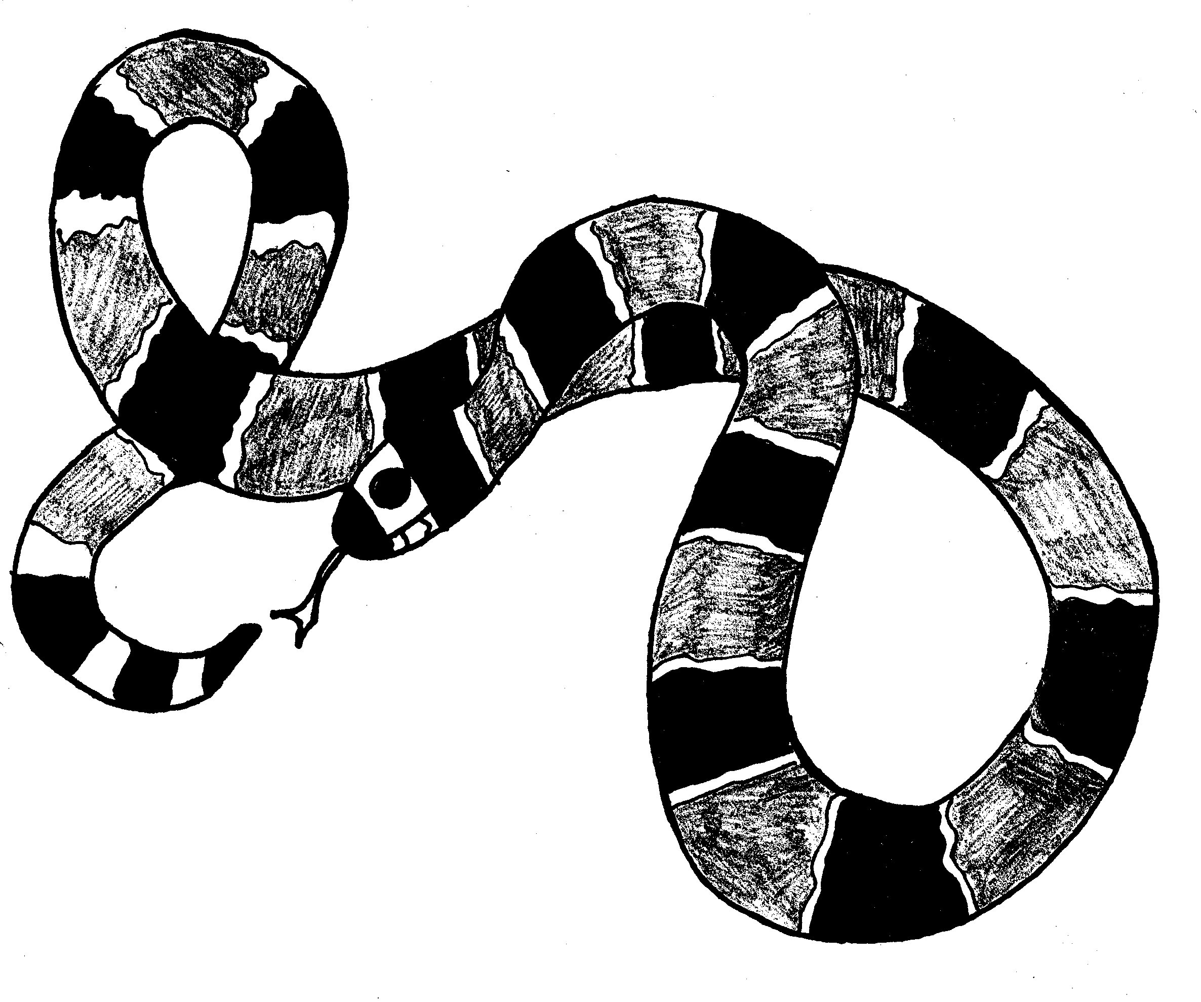Полосатая змея раскраска