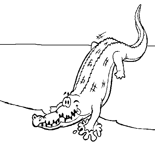 Раскраска: аллигатор (Животные) #387 - Бесплатные раскраски для печати