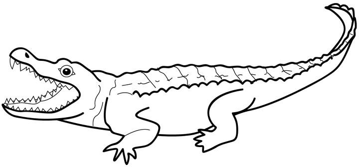 Раскраска: аллигатор (Животные) #397 - Бесплатные раскраски для печати