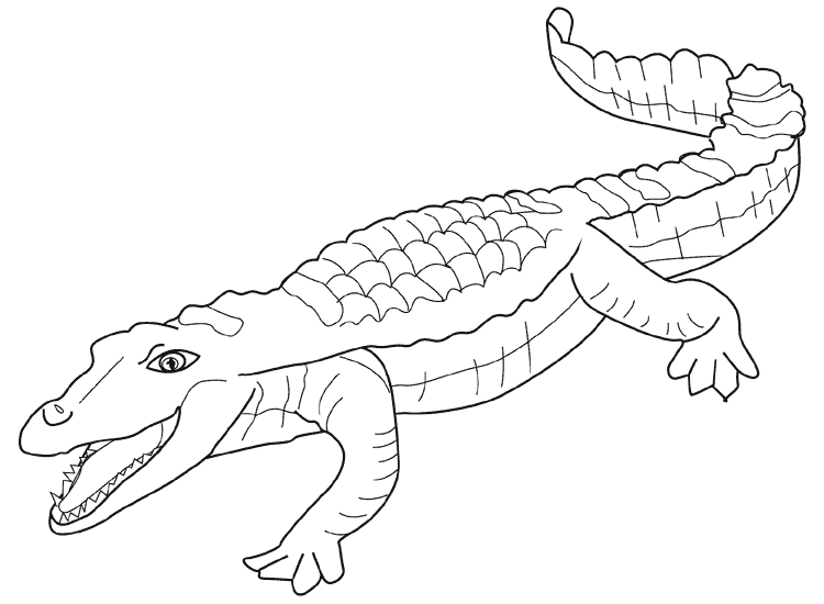 Раскраска: аллигатор (Животные) #429 - Бесплатные раскраски для печати