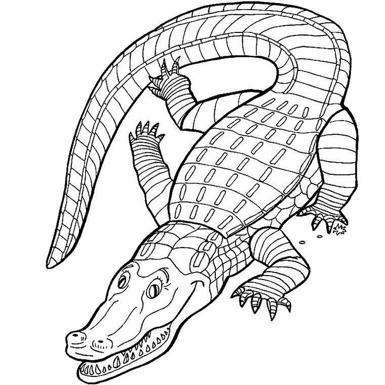 Раскраска: аллигатор (Животные) #434 - Бесплатные раскраски для печати