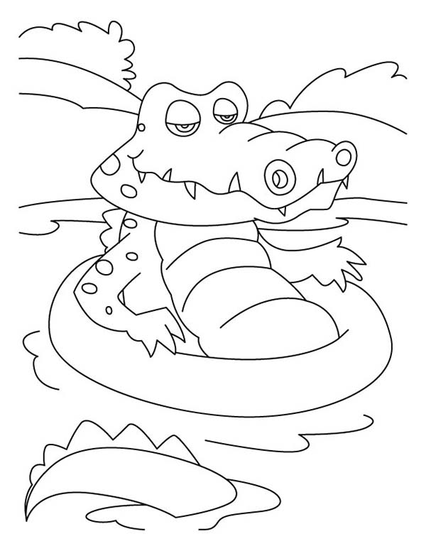 Раскраска: аллигатор (Животные) #451 - Бесплатные раскраски для печати
