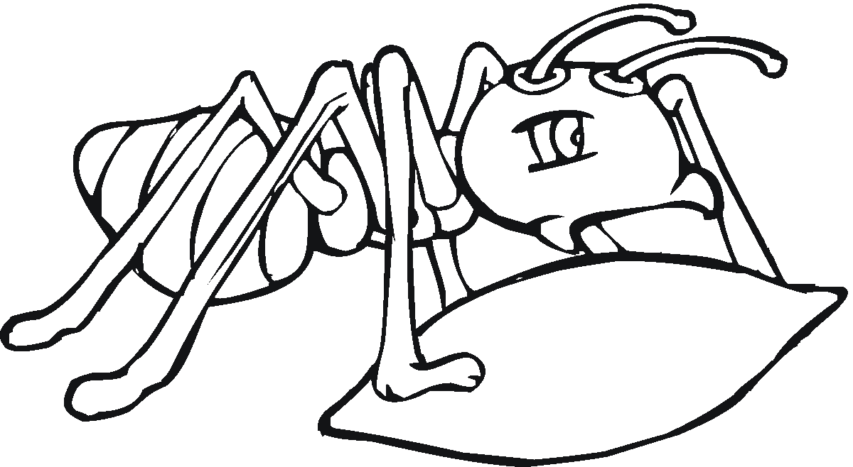 Раскраска: муравей (Животные) #6920 - Бесплатные раскраски для печати