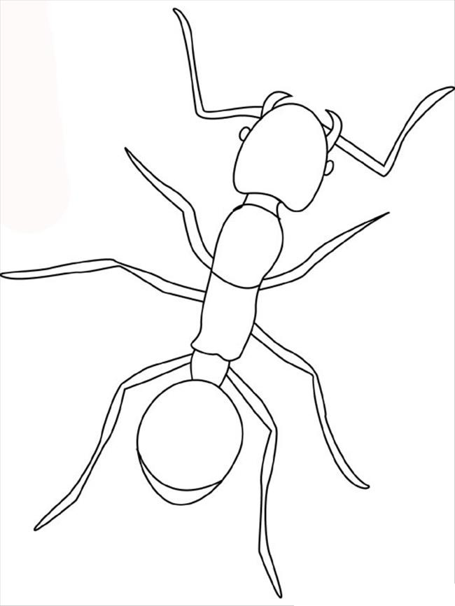 Раскраска: муравей (Животные) #6921 - Бесплатные раскраски для печати