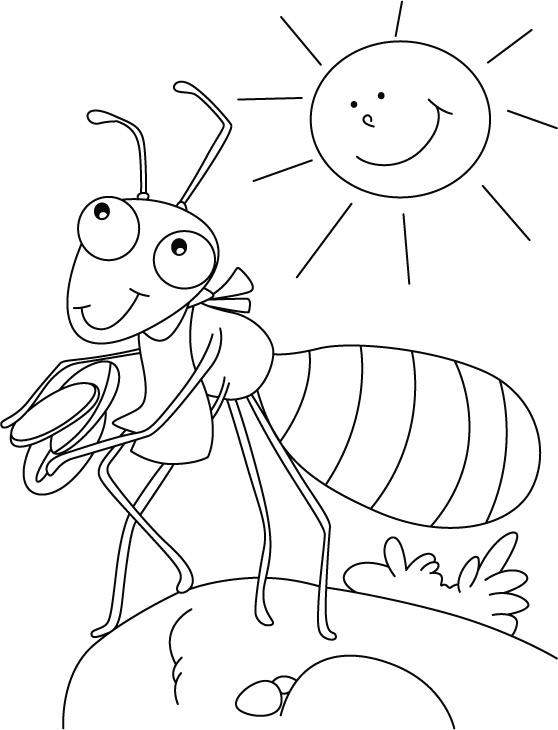 Раскраска: муравей (Животные) #6927 - Бесплатные раскраски для печати