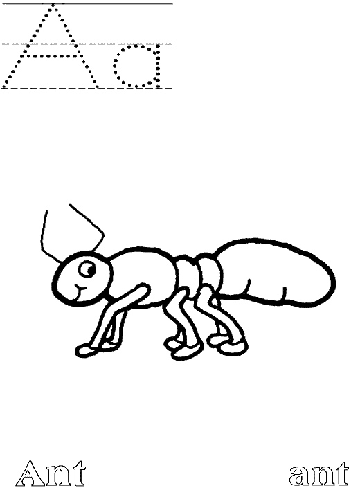 Раскраска: муравей (Животные) #6946 - Бесплатные раскраски для печати