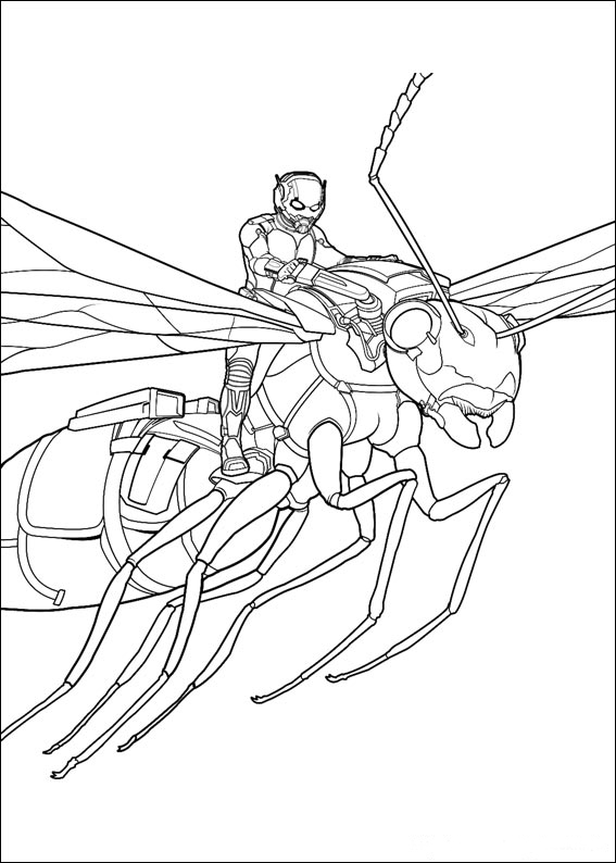 Раскраска: муравей (Животные) #6976 - Бесплатные раскраски для печати