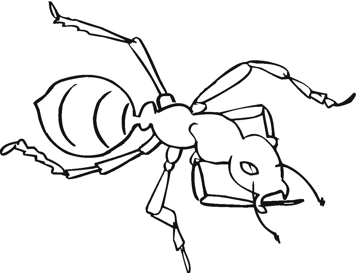 Раскраска: муравей (Животные) #7019 - Бесплатные раскраски для печати
