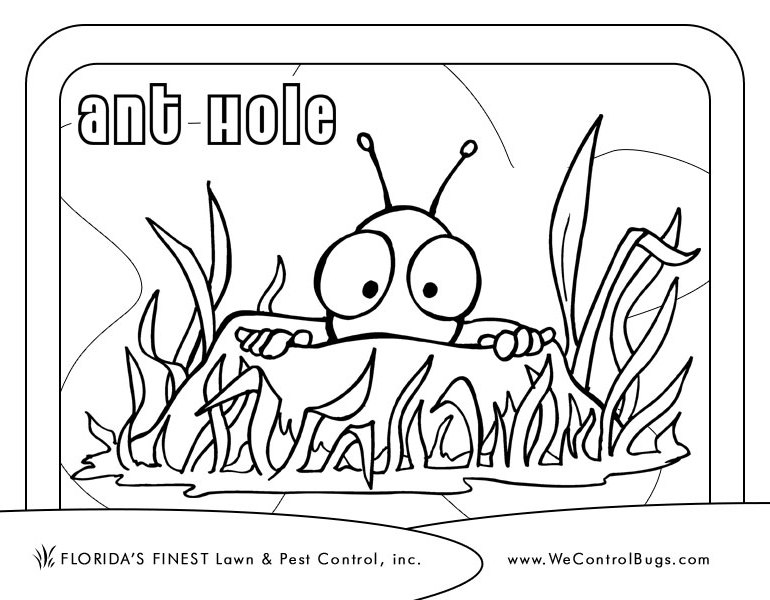 Раскраска: муравей (Животные) #7027 - Бесплатные раскраски для печати