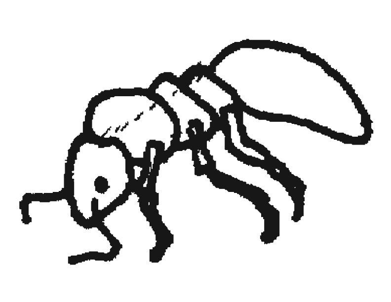 Раскраска: муравей (Животные) #7038 - Бесплатные раскраски для печати