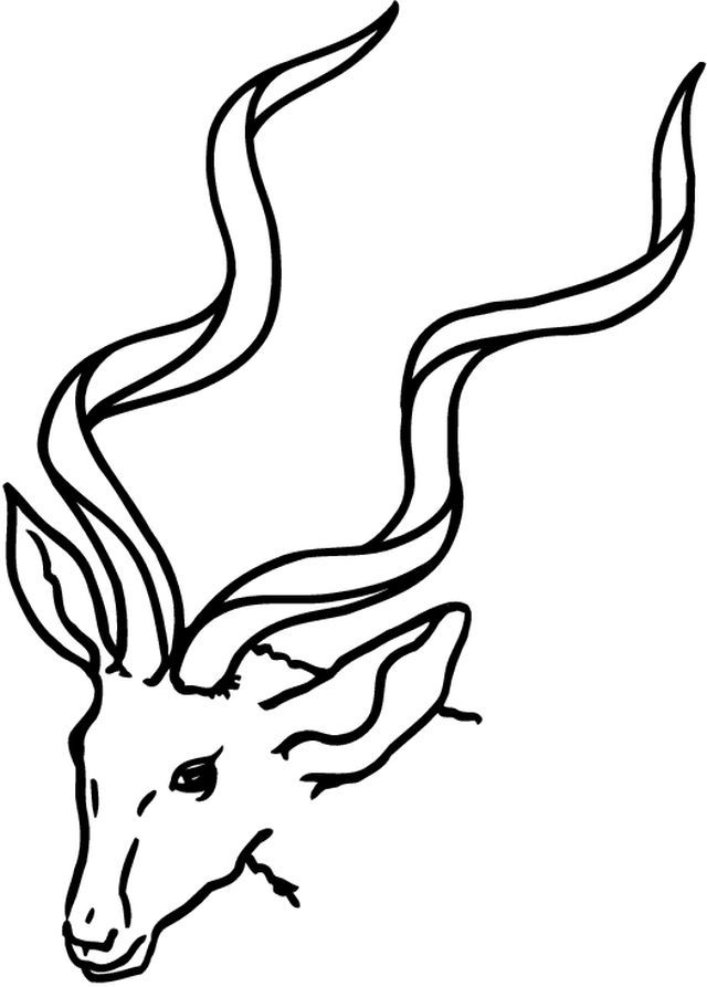 Раскраска: антилопа (Животные) #22590 - Бесплатные раскраски для печати