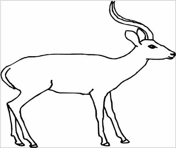 Раскраска: антилопа (Животные) #22591 - Бесплатные раскраски для печати
