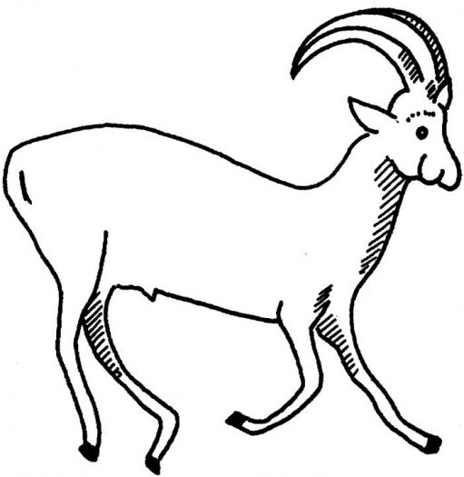 Раскраска: антилопа (Животные) #22592 - Бесплатные раскраски для печати