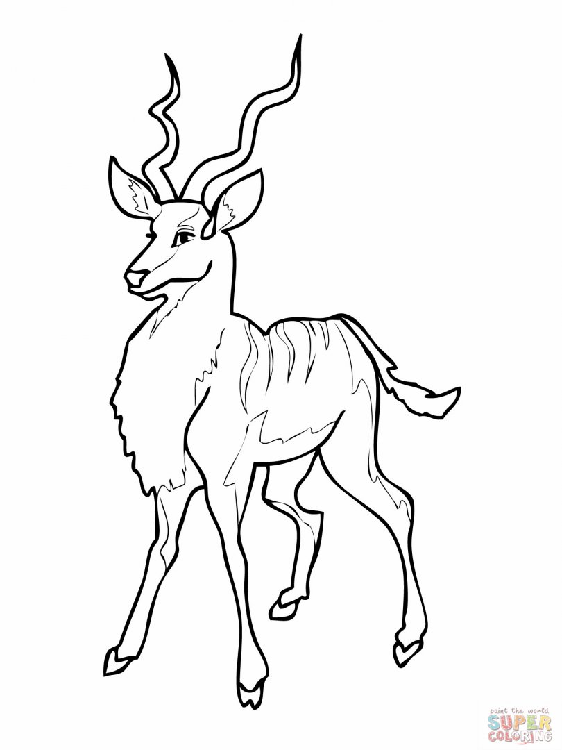 Раскраска: антилопа (Животные) #22598 - Бесплатные раскраски для печати