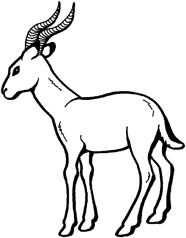 Раскраска: антилопа (Животные) #22599 - Бесплатные раскраски для печати
