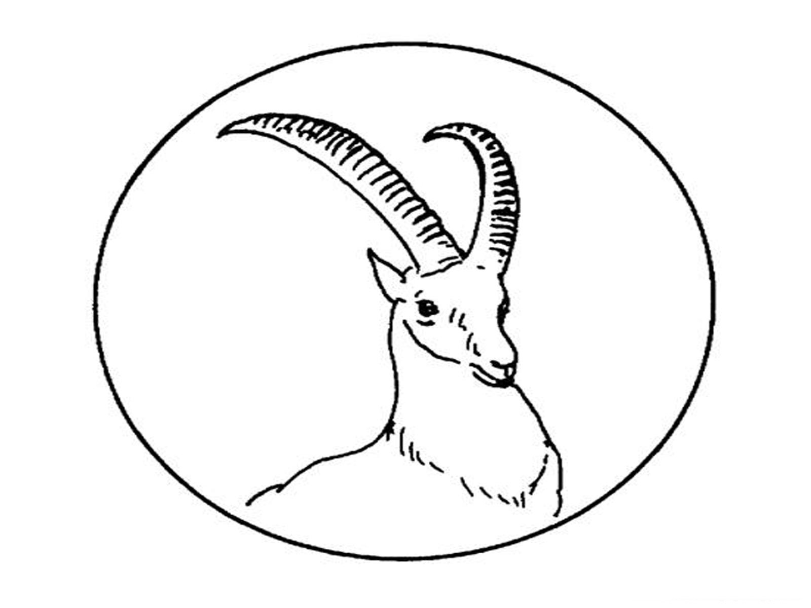 Раскраска: антилопа (Животные) #22602 - Бесплатные раскраски для печати