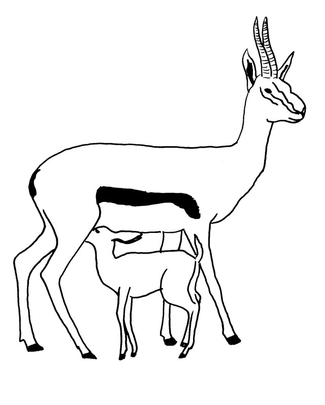 Раскраска: антилопа (Животные) #22605 - Бесплатные раскраски для печати