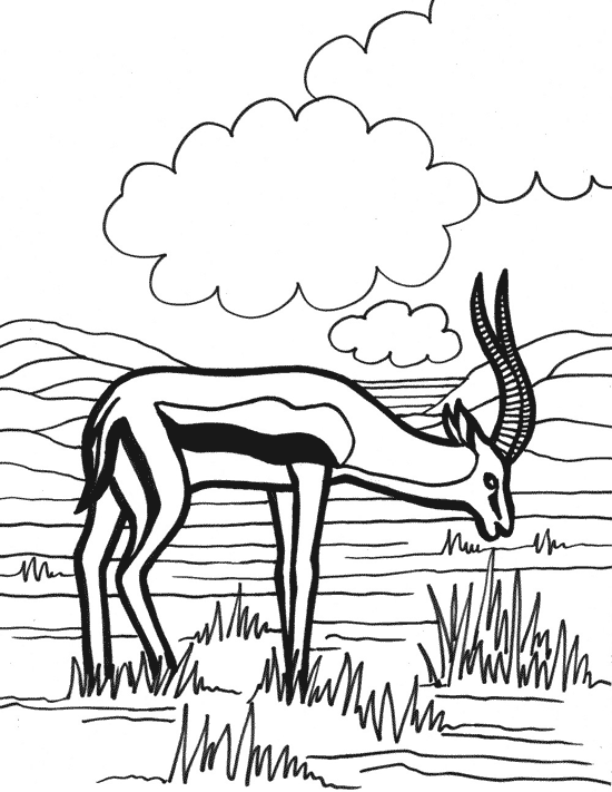 Раскраска: антилопа (Животные) #22608 - Бесплатные раскраски для печати