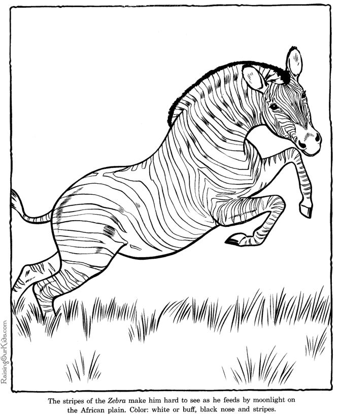 Раскраска: антилопа (Животные) #22612 - Бесплатные раскраски для печати
