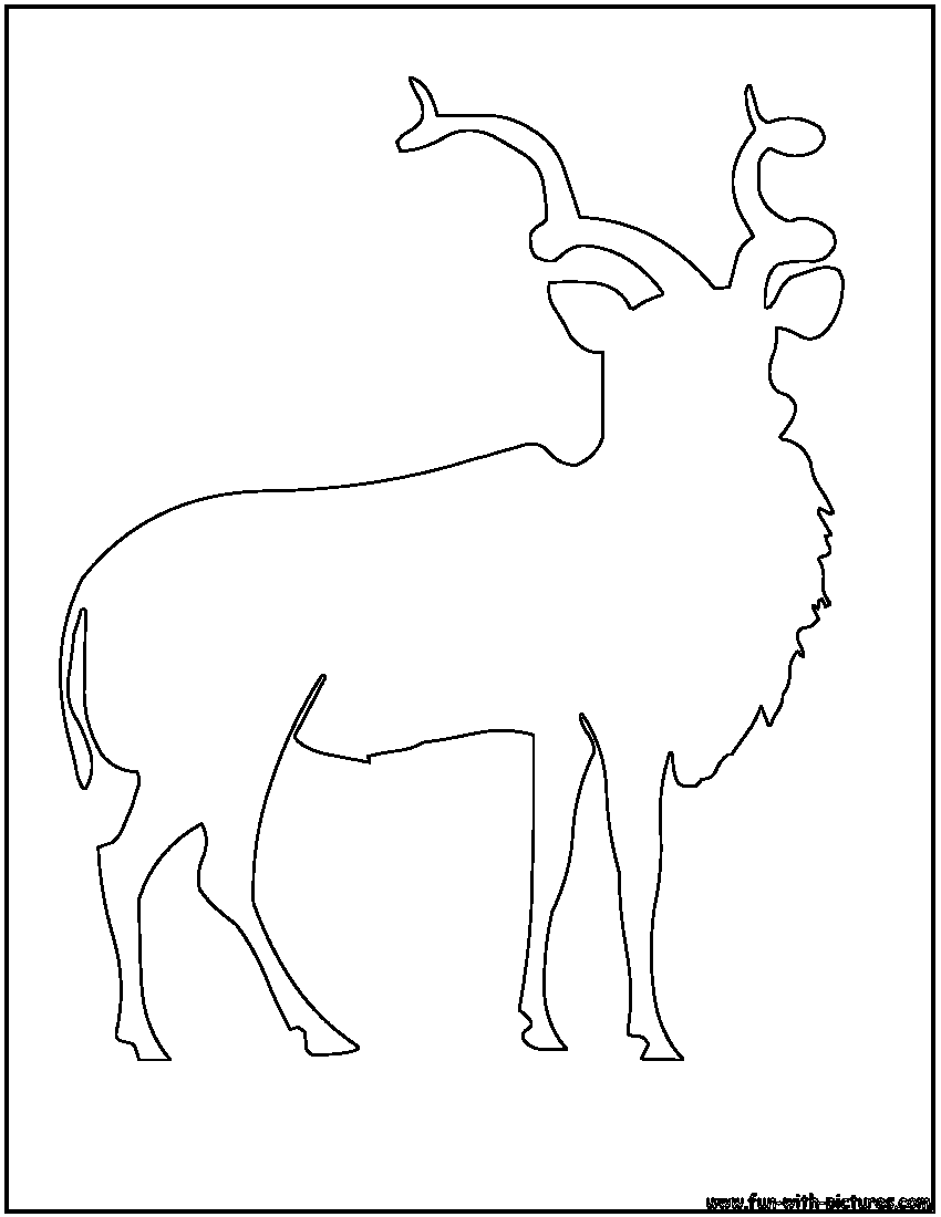 Раскраска: антилопа (Животные) #22640 - Бесплатные раскраски для печати
