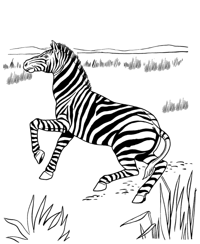 Раскраска: антилопа (Животные) #22652 - Бесплатные раскраски для печати