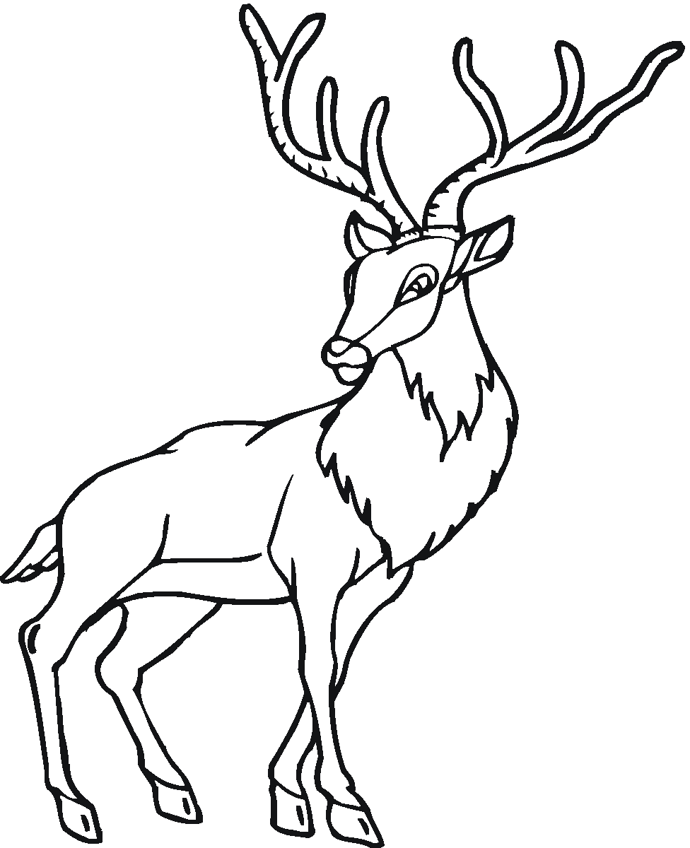 Раскраска: антилопа (Животные) #22659 - Бесплатные раскраски для печати
