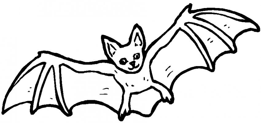 Раскраска: летучая мышь (Животные) #1975 - Бесплатные раскраски для печати