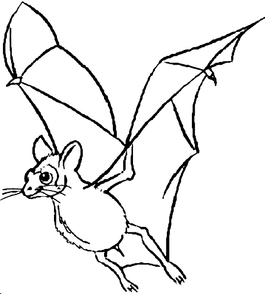 Раскраска: летучая мышь (Животные) #2021 - Бесплатные раскраски для печати