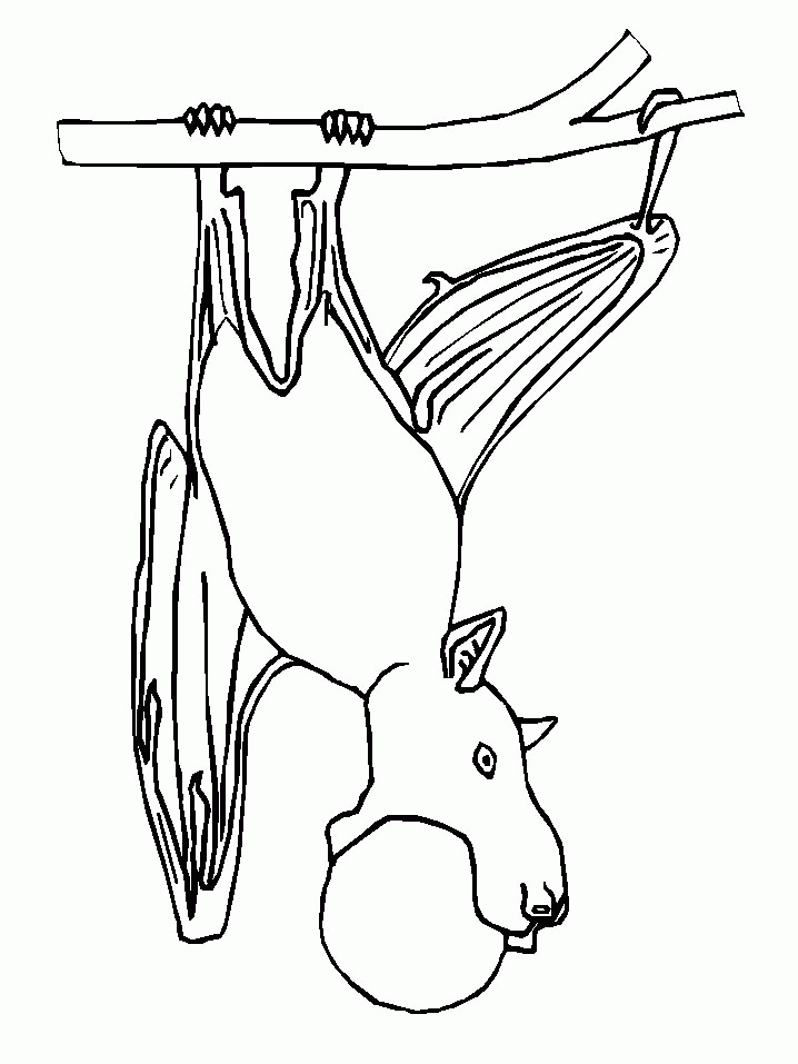 Раскраска: летучая мышь (Животные) #2044 - Бесплатные раскраски для печати