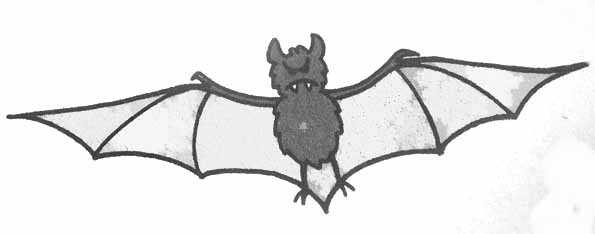 Раскраска: летучая мышь (Животные) #2148 - Бесплатные раскраски для печати