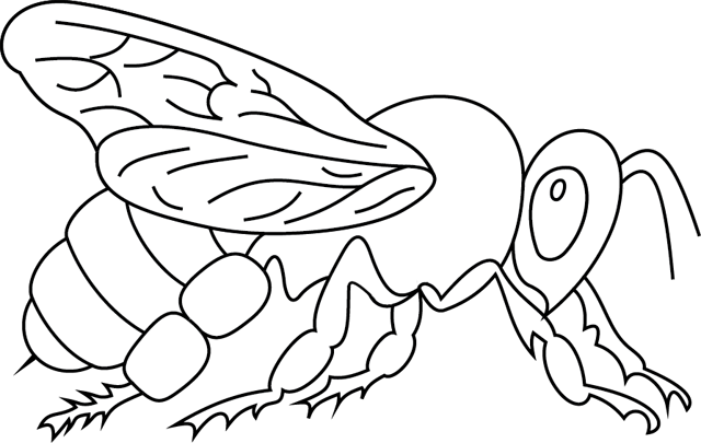 Раскраска: пчела (Животные) #100 - Бесплатные раскраски для печати
