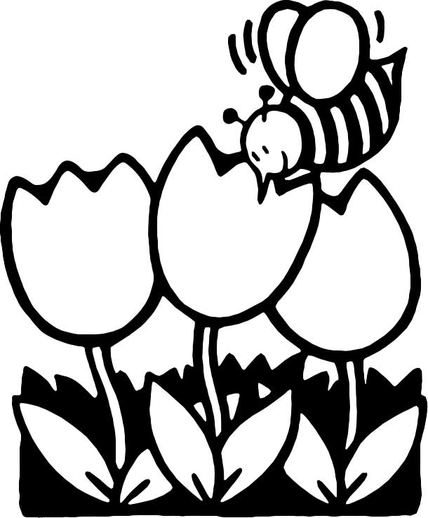 Раскраска: пчела (Животные) #107 - Бесплатные раскраски для печати