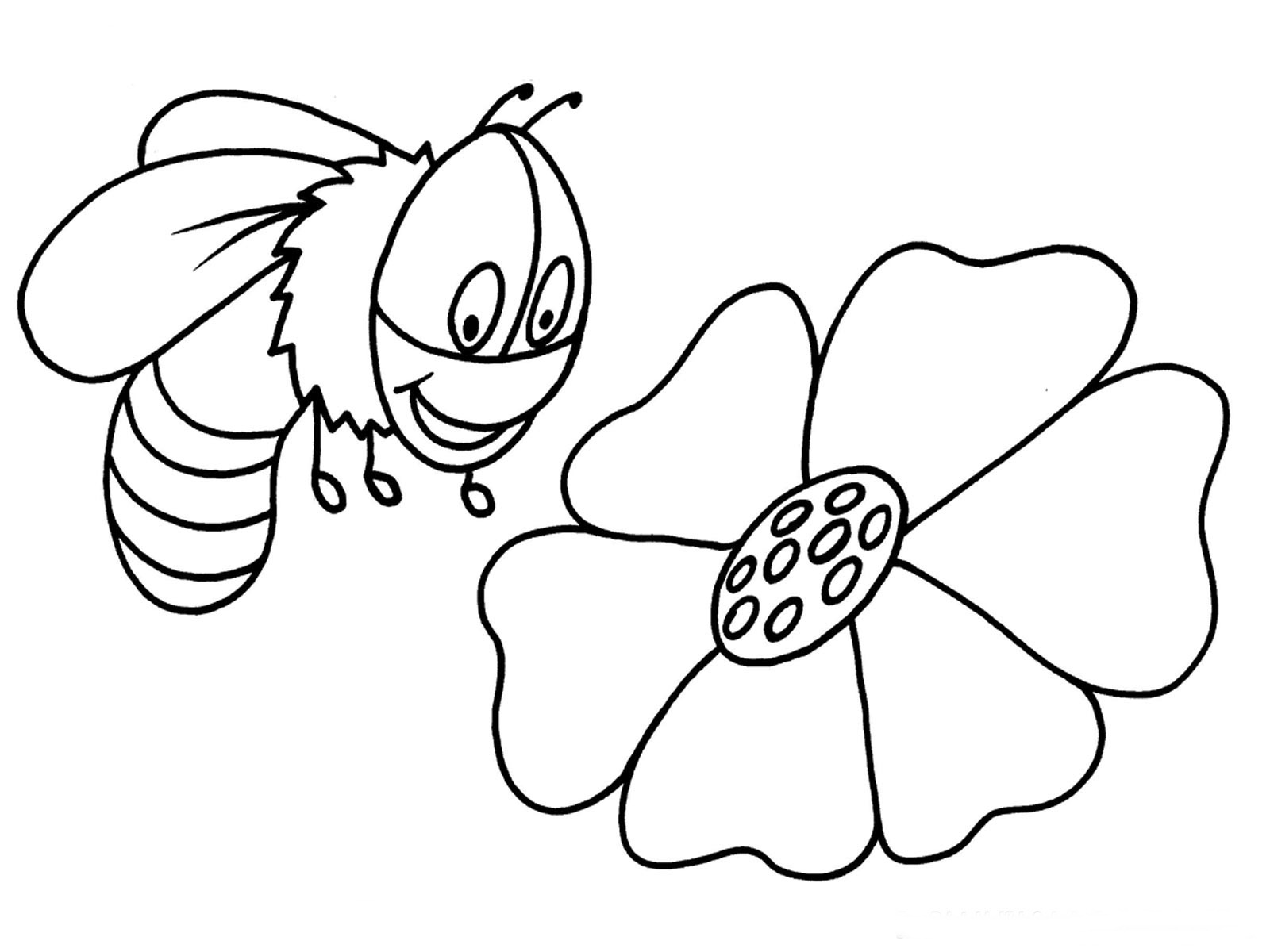 Раскраска: пчела (Животные) #119 - Бесплатные раскраски для печати