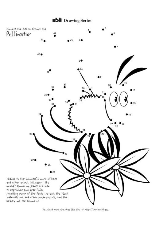 Раскраска: пчела (Животные) #144 - Бесплатные раскраски для печати
