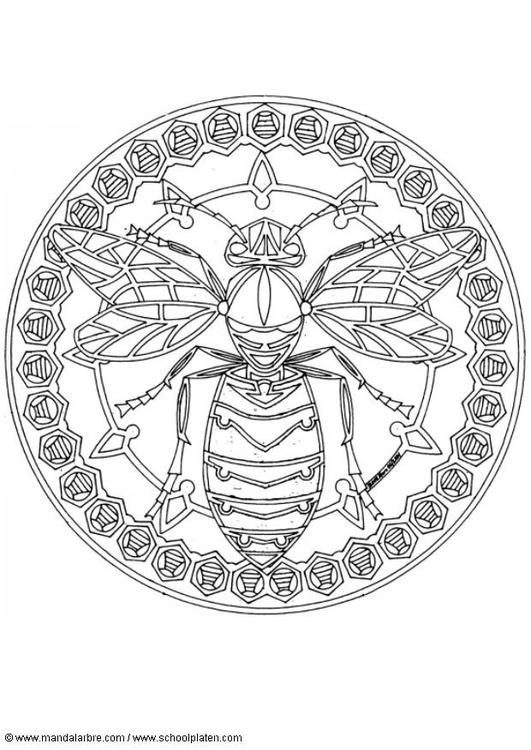 Раскраска: пчела (Животные) #153 - Бесплатные раскраски для печати