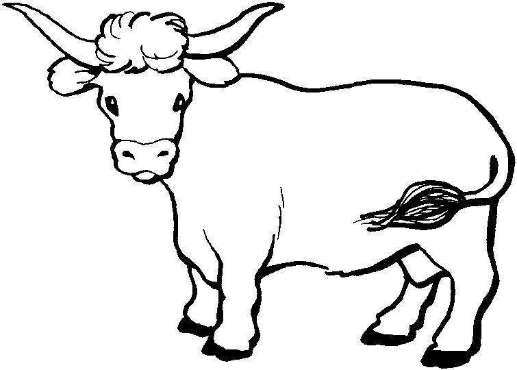 Раскраска: говядина (Животные) #1342 - Бесплатные раскраски для печати