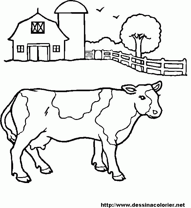 Раскраска: говядина (Животные) #1347 - Бесплатные раскраски для печати