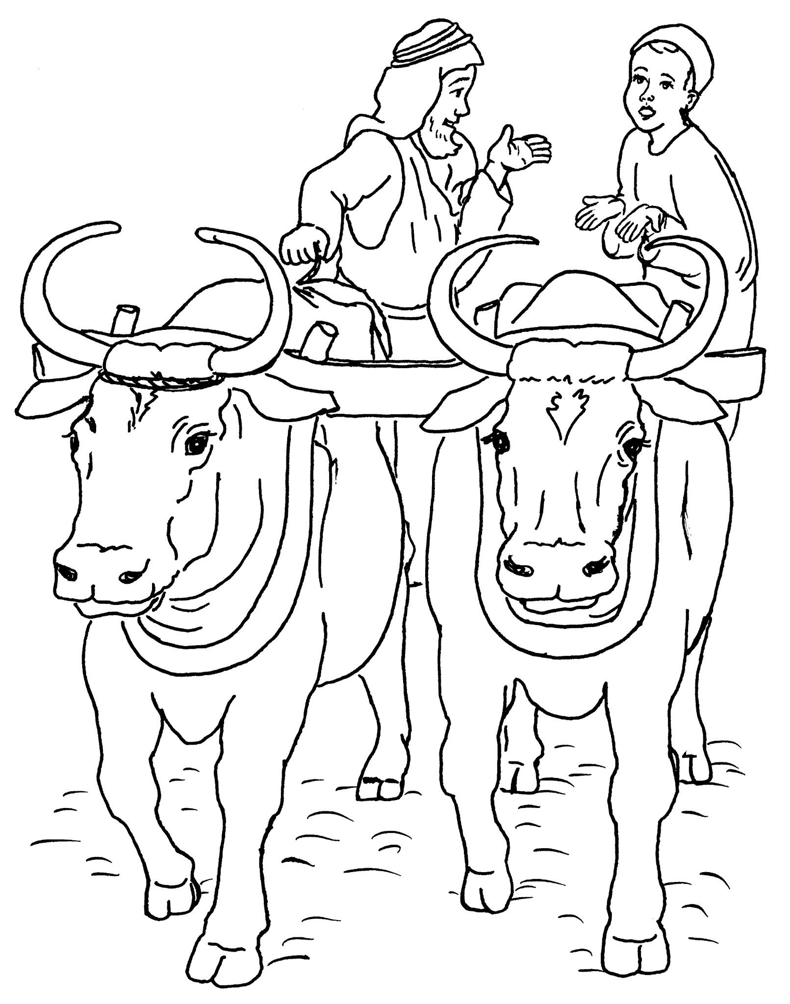 Раскраска: говядина (Животные) #1356 - Бесплатные раскраски для печати