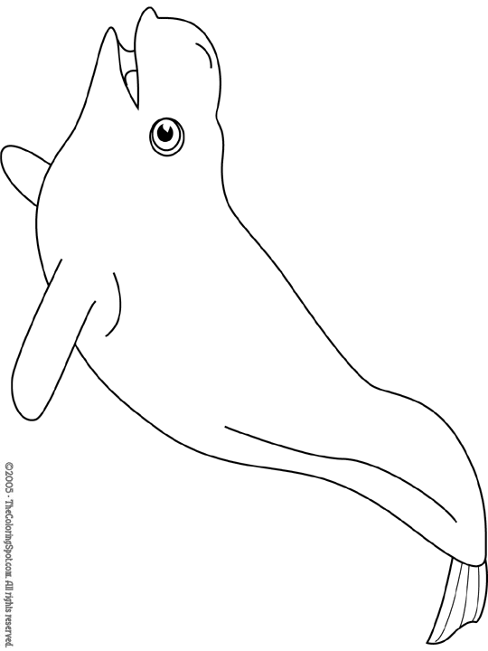 Раскраска: белуга (Животные) #1064 - Бесплатные раскраски для печати