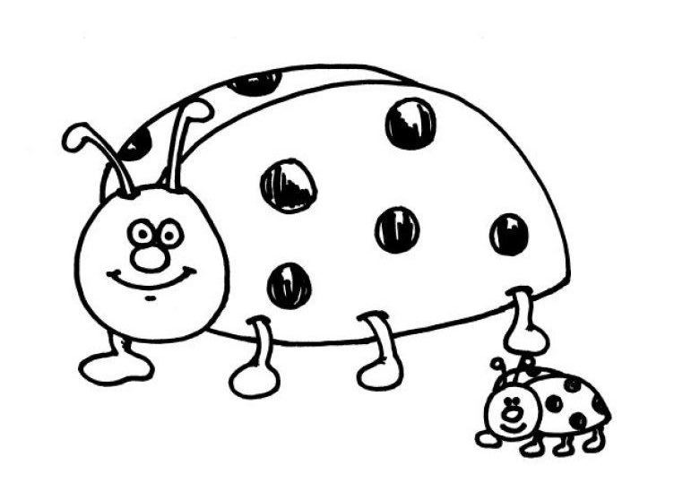 Раскраска: божья коровка (Животные) #3421 - Бесплатные раскраски для печати