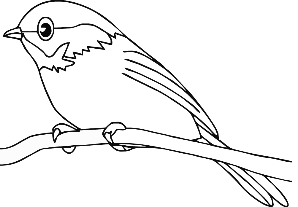 Раскраска: домашняя птица (Животные) #11840 - Бесплатные раскраски для печати