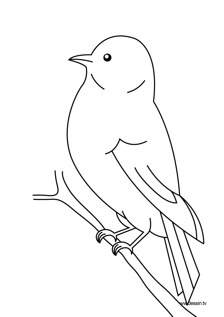 Раскраска: домашняя птица (Животные) #11844 - Бесплатные раскраски для печати