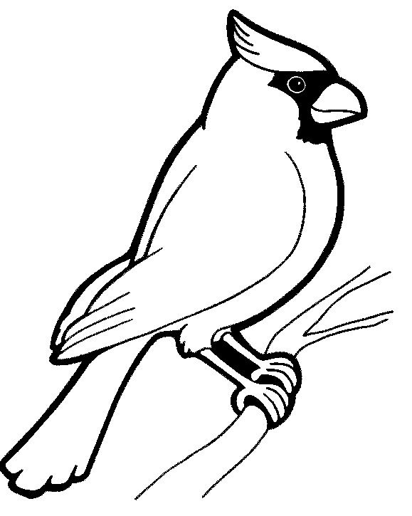 Раскраска: домашняя птица (Животные) #11846 - Бесплатные раскраски для печати