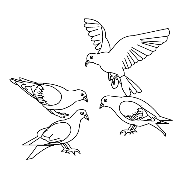 Раскраска: домашняя птица (Животные) #11856 - Бесплатные раскраски для печати