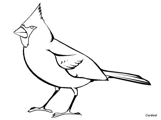 Раскраска: домашняя птица (Животные) #11870 - Бесплатные раскраски для печати