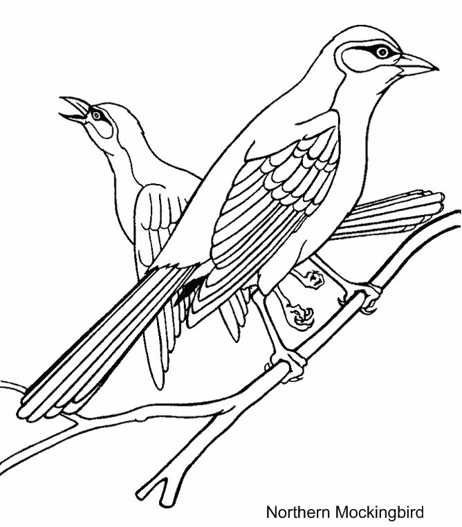 Раскраска: домашняя птица (Животные) #11871 - Бесплатные раскраски для печати