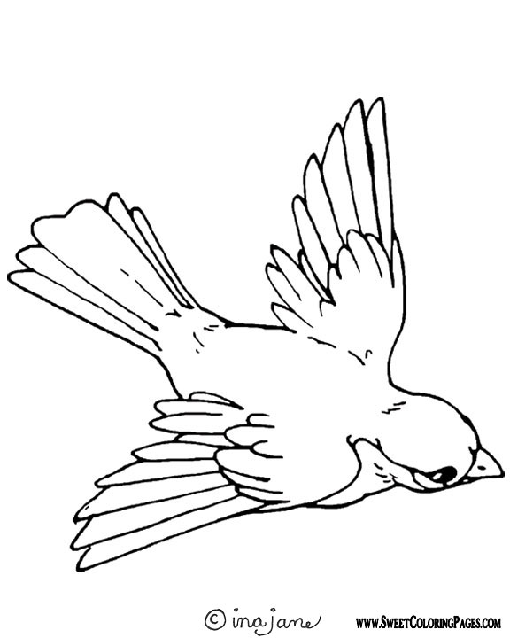Раскраска: домашняя птица (Животные) #11874 - Бесплатные раскраски для печати