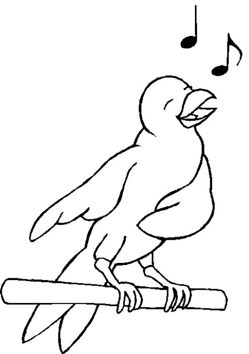 Раскраска: домашняя птица (Животные) #11880 - Бесплатные раскраски для печати