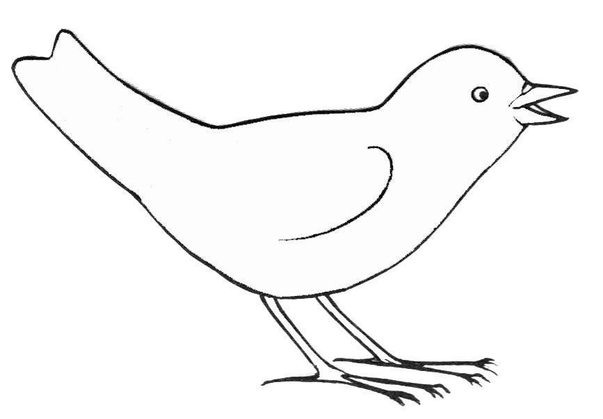 Раскраска: домашняя птица (Животные) #11884 - Бесплатные раскраски для печати