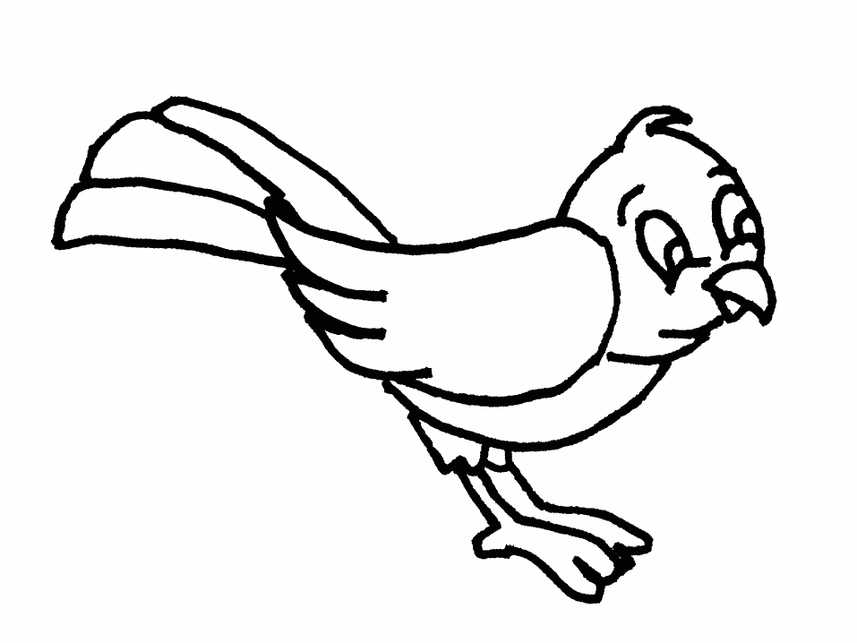 Раскраска: домашняя птица (Животные) #11892 - Бесплатные раскраски для печати